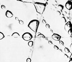 5de8947ebd90d.jpg 04.jpg